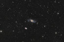 NGC 3718 im Sternbild Großer Bär (UMa), 139 x 300sec, ASI071MCpro am TEC 140mm APO auf WS240GT