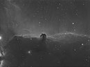 Pferdekopfnebel (IC434) im Sternbild Orion, 140mm TEC, WS240GT, TS 2,5"-Flattener, Atik 383+, Baader 7nm Ha-Filter, 12x1200sec