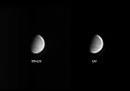 Venus im IR+UV-Licht) am 05.02.2012, Celestron C9.25 auf WS240GT,  Point Grey Flea3 , F=6500mm, f/27,  Astronomik IR Pro 742, Astrodon UV Venus