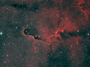 Der "Elefantenrüssel" (IC1396) im Sternbild Kepheus am 20.04.2013 in Bicolor (Ha/OIII), TEC 140mm APO mit TEC 4"-Flattener auf WS240GT, Atik 383 L+, 27x1200sec, Baader H-Alpha-Filter, Baader OIII-Filter