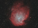 (NGC 2174 und NGC 2175 im Sternbild Orion, ASI6200MMpro an TEC 140mm APO auf WS240GT, 18x600sec Ha + 12x600sec OIII, Bicolor-Image