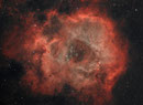 Der Rosettennebel" (NGC 2244) im Sternbild Einhorn, ASI6200MMpro am TEC 140mm APO, WS240GT, 15x600sec Ha, 50x600sec IDAS mit der Canon EOS 450Da