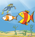 Fish eats Fish  -  Kunde: Key Account, Österreichischer Agrarverlag