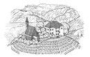 Weinetikette Kalterersee  -  Agentur: Jung & C, Bozen