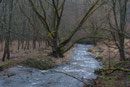 An der Schwarzen Nister (Foto: E. Klein)