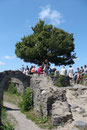 Löwenburg (Rhöndorf, Siebengebirge) im Sommer ...