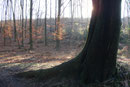 Am Stinkenberg ... (Foto: E. Klein)