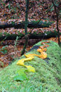 Foto: E. Klein