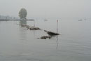 Tertiäre Muschelschillrippe bei Staad am Bodensee/Schweiz (Foto: E. Klein)