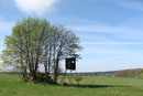 Basalt-Lesesteinhaufen auf der Lipper Höhe (Foto: E. Klein)
