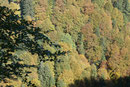 Herbst im Appenzeller Land (Foto: E. Klein)