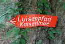 ... in Wiederstein (Foto: E. Klein)