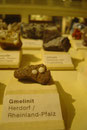 Das Naturhistorische Museum in Berlin ist auch für Sammler des hiesigen Raums interessant! (Foto: S. Funk)