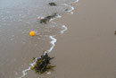 Am Strand von Zandvoort (Foto: E. Klein)