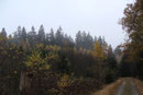 Spät-Herbst am Hohenseelbachskopf (Foto: E. Klein)