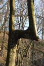 Überlebenswille (Foto: E. Klein)