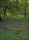 Opere di Andy Goldsworthy