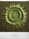Opere di Andy Goldsworthy