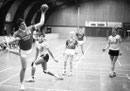 Hallmann 1986