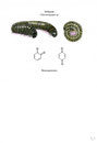 Fig11