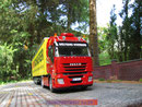 tw124-stralis-herrmann-16