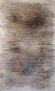 Niebla, 2002, mixed media on canvas, 146x89 cm