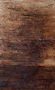 Horizonte remoto, 2002, técnica mixta sobre lienzo, 146x89 cm - VENDIDO