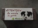 Chiot d' aprés photo