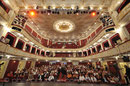 Stadttheater Baden bei Wien, Zuschauerraum
