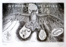 Damien Deroubaix - My journey to the stars - Eau forte tirage 18 exemplaires - Urdla - 2011 - 29,5 x 19,5 
