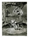 Funny game II - Eau forte et aquatinte tirage à 5 exemplaires-2012 - 21 x 26 cm 