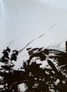 Extrait