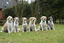 Zwei Generationen