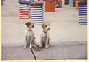 Borkum 2002