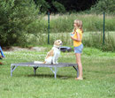 Joana & Famke, Agility-Training bei Dog city im Sommer 2009