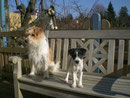 Sonnenanbeter Hetti & Tala