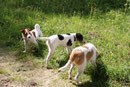 Bunte Mischung