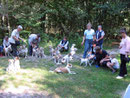 Großes Kromfohrländertreffen  2003