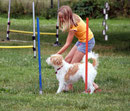 Joana & Famke, Agility-Training bei Dog City im Sommer 2009