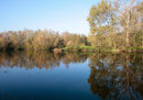 Etang Marius à Hergnies