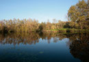 Etang Marius Hergnies