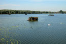 Etang d'Amaury Vx-Condé/Hergnies