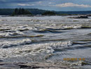 Die Rapids