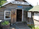 das legendäre "Wildcat Cafe"