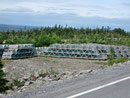 Lobster Traps - zu Tausenden