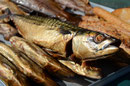 Goldgelbe Makrele