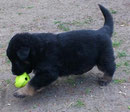 oh ein Ball