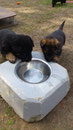 ist das zum baden ?
