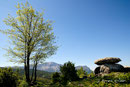 Dolmen de Ibirque. © Javier Arranz Estaún.