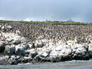 Isla de los pájaros. © Leonardo Ara Pueyo.